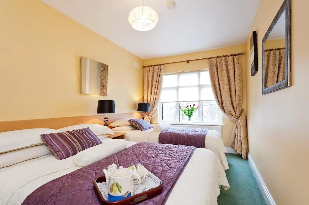 Cashel Lodge Dublino 3*,